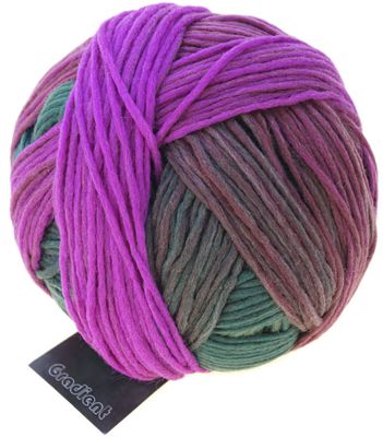 SCHOPPEL Gradient Schurwolle Merino Lauflänge 100g/260m  NS 3,5-4,5mm  Farbverlaufsgarn weich