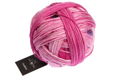 SCHOPPEL Gradient Schurwolle Merino Lauflänge 100g/260m  NS 3,5-4,5mm  Farbverlaufsgarn weich