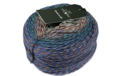 SCHOPPEL Zauberwolle  Schurwolle Merino LL100g/250m NS 3,0 - 4,0 mm weich warm Stricken Häkeln Tücher Schals Pulli Farbverlaufs Garn bunt