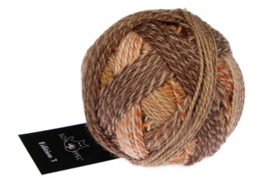 Edition 3 SCHOPPEL 50g/150m NS 3 - 3,5mm Merino extrafine sehr weich bunt
