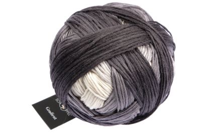 SCHOPPEL Gradient Schurwolle Merino Lauflänge 100g/260m  NS 3,5-4,5mm  Farbverlaufsgarn weich