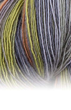 Atelier ZITRON Filigran 100g/600m Garn Strang Merino extrafine Farbverlaufsgarn