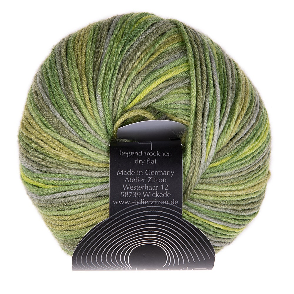 Atelier Zitron La Vie 50g/125m Schurwolle Merino extrafine Seide Tencel weich Farbverlauf mulesingfrei DK