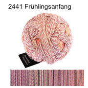 SCHOPPEL Zauberball Crazy Cotton 100g/210m Baumwolle NS 3 - 4 mm Farbverlaufsgarn