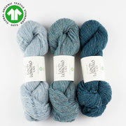 BC Garn LOCH LOMOND lace 100 % reine Schurwolle 300m/50g NS 2-3 mm mulesingfrei Gots