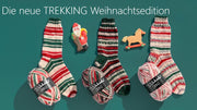 Atelier ZITRON Sockengarn 100g/420m Trekking 4 - fach Color XXL Schurwolle Weihnachten mulesingfrei