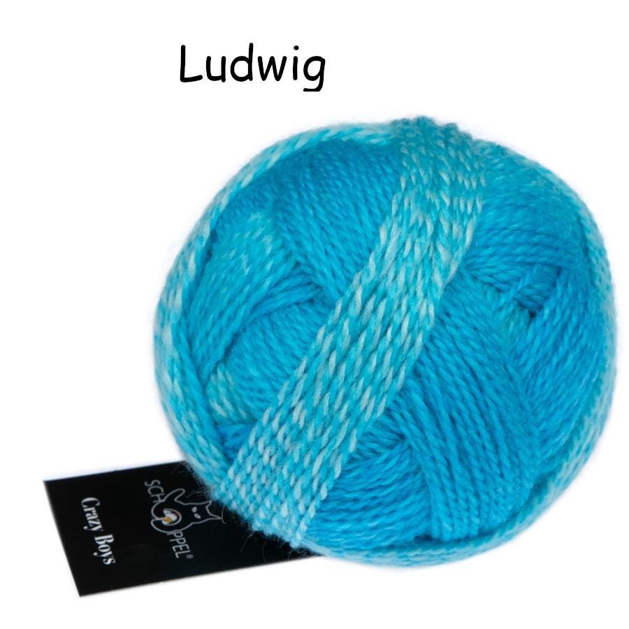 SCHOPPEL Crazy Boys 50g/200m Nadelstärke 2 - 3 mm Merino weich