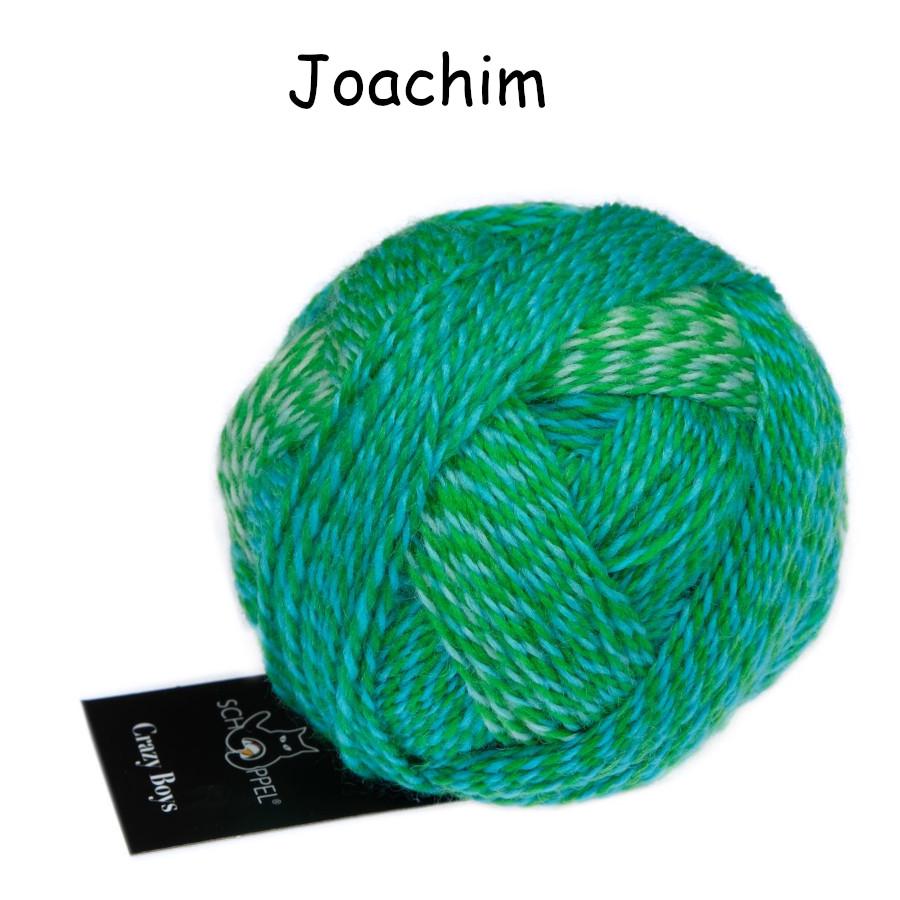 SCHOPPEL Crazy Boys 50g/200m Nadelstärke 2 - 3 mm Merino weich