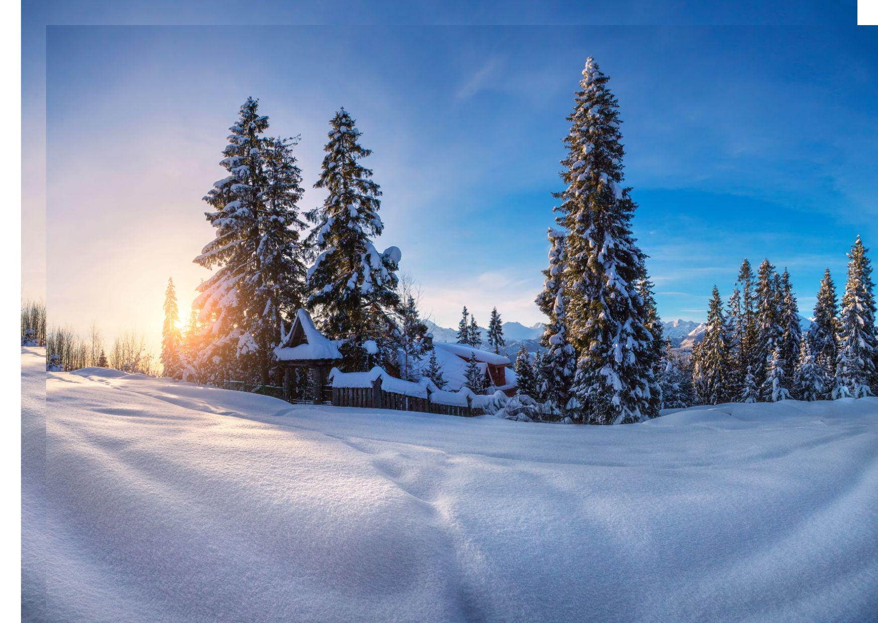 ADVENTSKALENDER 600 g Handgefärbt Sockenwolle 4- fach, 100g/420m mulesingfrei
