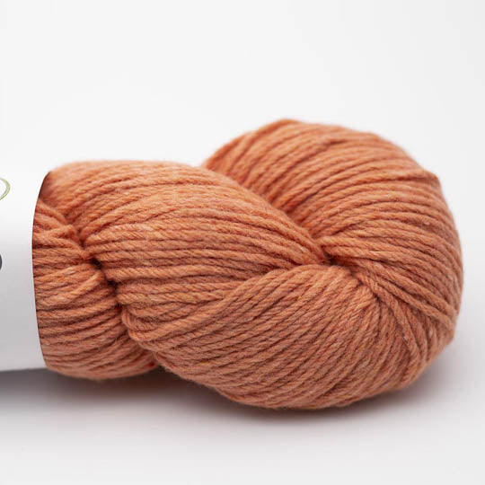 REBORN WOOL Recycled Kremke 100g/200 m mulesingfrei wählen robust wollig Aran