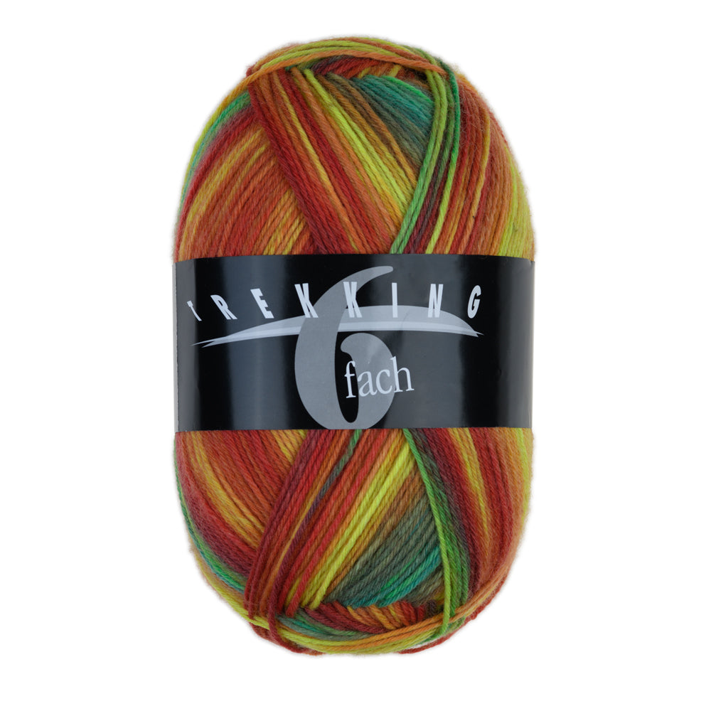 Atelier ZITRON Sockengarn 150g/390 m Trekking 6-fach COLOR Schurwolle Socken mulesingfrei JUBILÄUMSFÄRBUNG