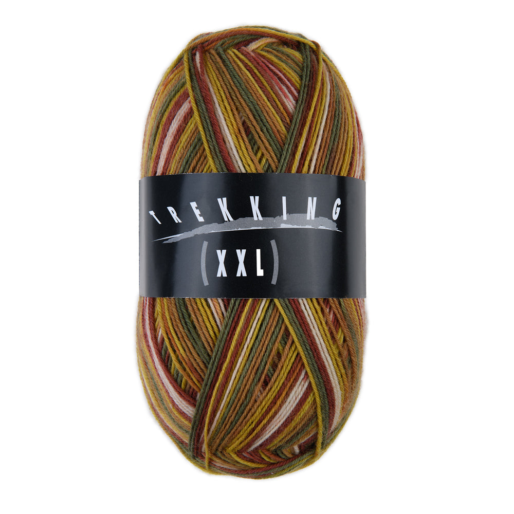 Atelier ZITRON Sockengarn 100g/420m Trekking 4 - fach Color XXL Schurwolle Weihnachten 2025 (Kopie)